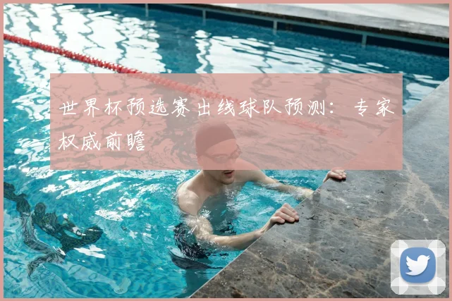 世界杯预选赛出线球队预测：专家权威前瞻