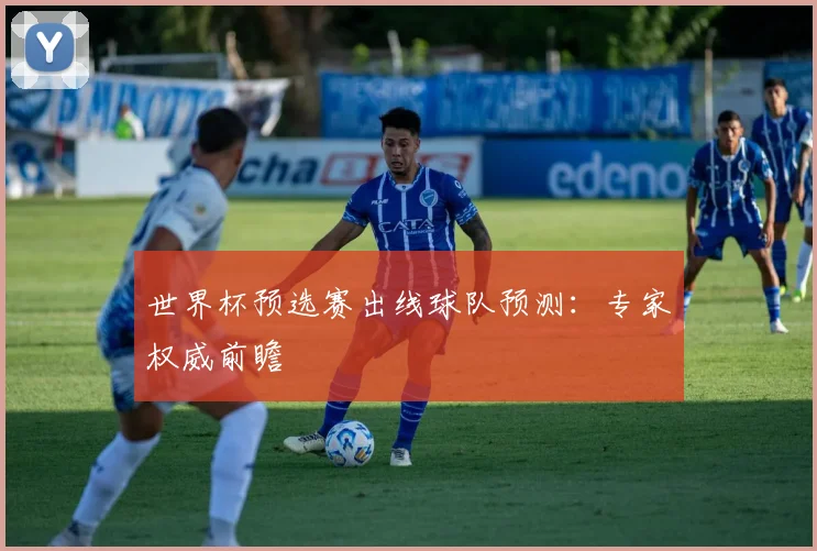 世界杯预选赛出线球队预测：专家权威前瞻