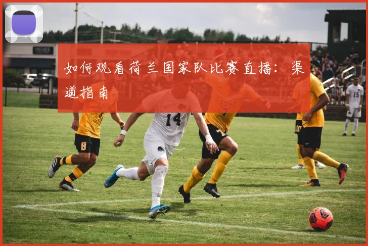 如何观看荷兰国家队比赛直播：渠道指南