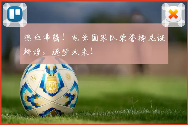 热血沸腾!电竞国家队荣誉榜见证辉煌,逐梦未来!