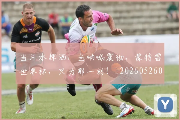 当汗水挥洒,当呐喊震彻,蒙特雷世界杯,只为那一刻!_20260526074212