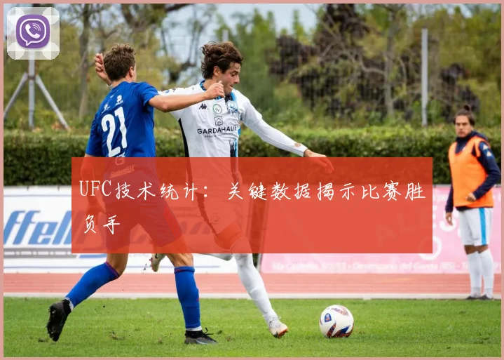 UFC技术统计:关键数据揭示比赛胜负手