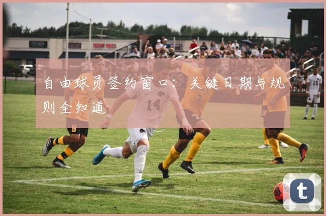 自由球员签约窗口：关键日期与规则全知道